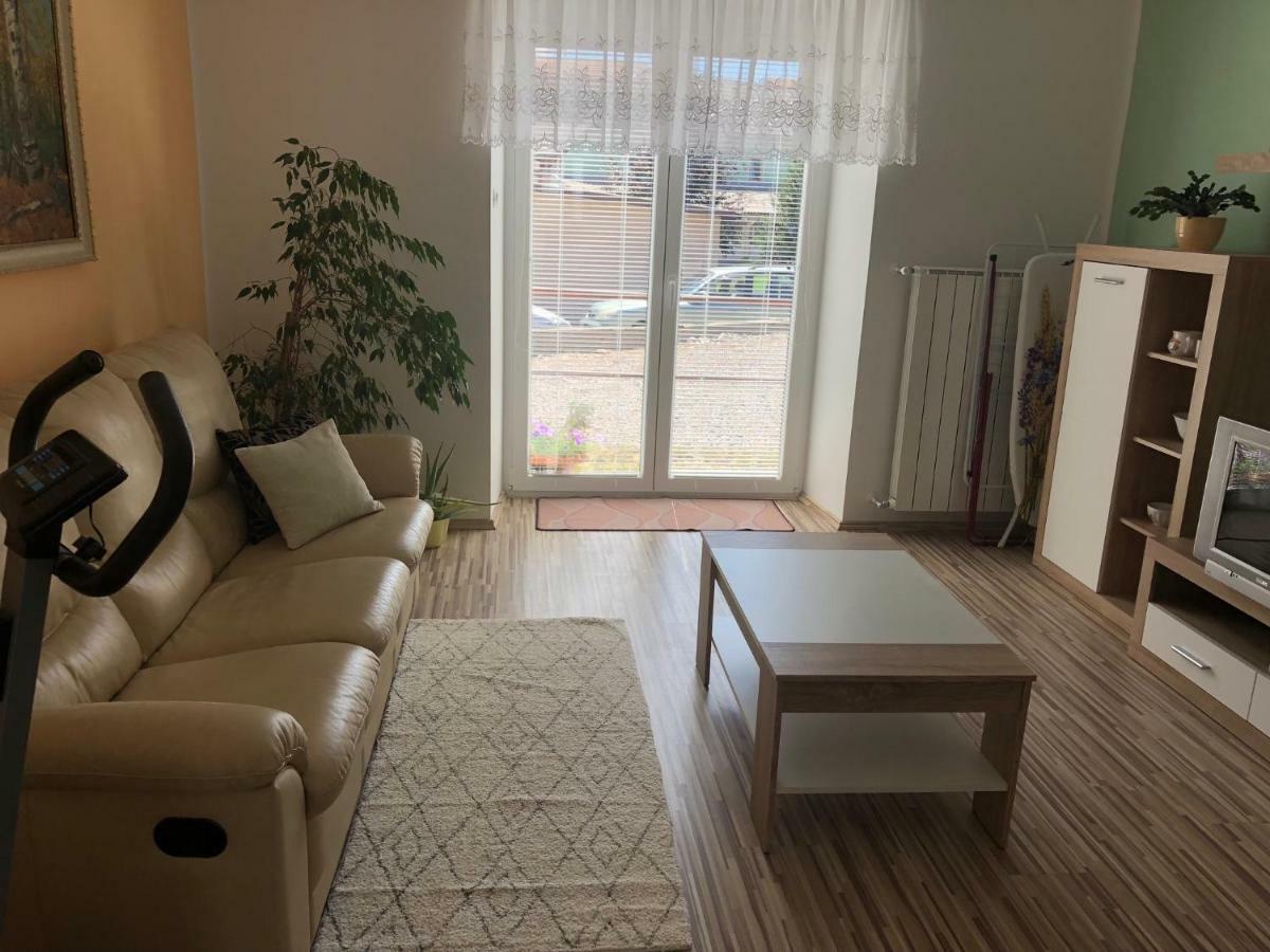 פוסטוינה Apartma Mahnic מראה חיצוני תמונה