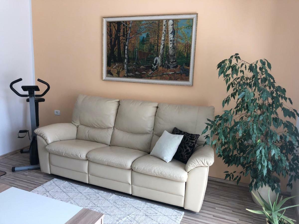 פוסטוינה Apartma Mahnic מראה חיצוני תמונה